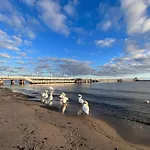Art Of Sopot